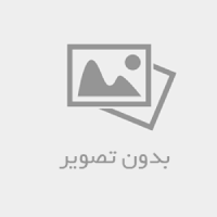 محمود‌خدامرادی (Wealump)،  نابغه چندبعدی، نویسنده، پژوهشگر،مدرس میان‌رشته‌ای و فرارشته‌ای _تخصص اصلی خلقت درمانی و پرورش نوابغ
